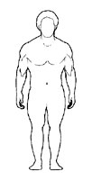 1142080403_endomorf